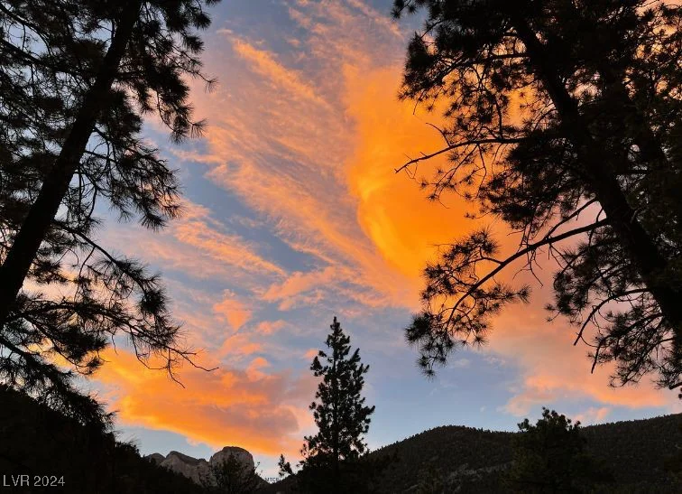 2196 Via Dulcedo, Mount Charleston, NV 89124