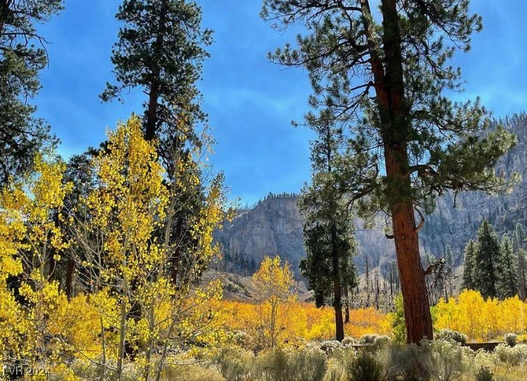 2196 Via Dulcedo, Mount Charleston, NV 89124