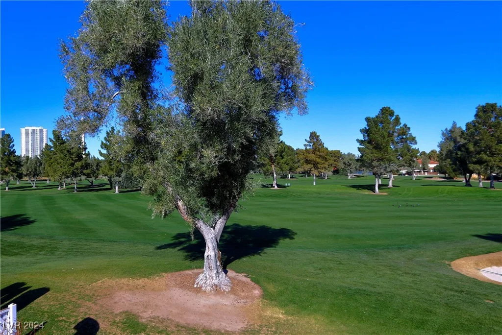 3077 Pinehurst, Las Vegas, NV 89109
