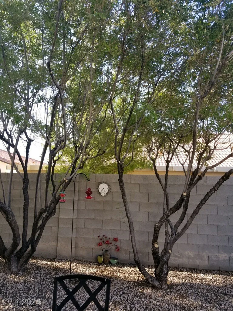 3418 Cinnamon Creek, North Las Vegas, NV 89031