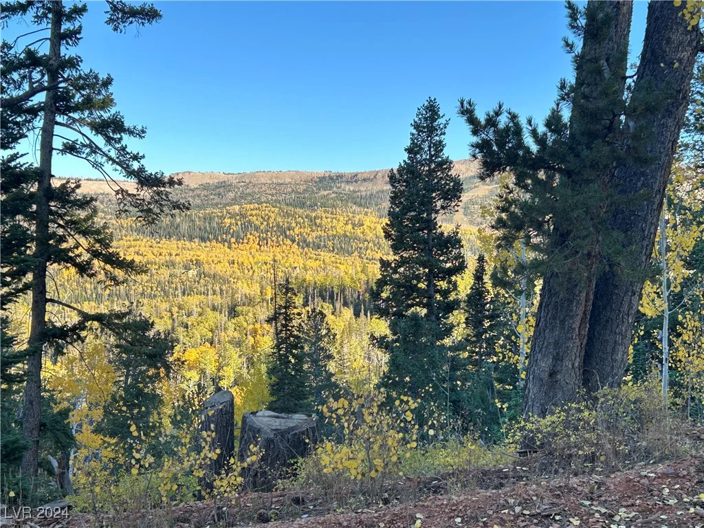 660 Ski View, Brian Head, UT 84719