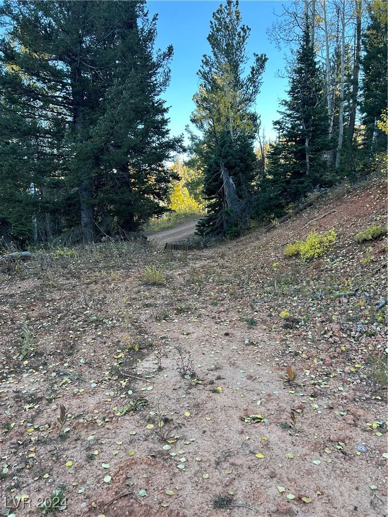 660 Ski View, Brian Head, UT 84719
