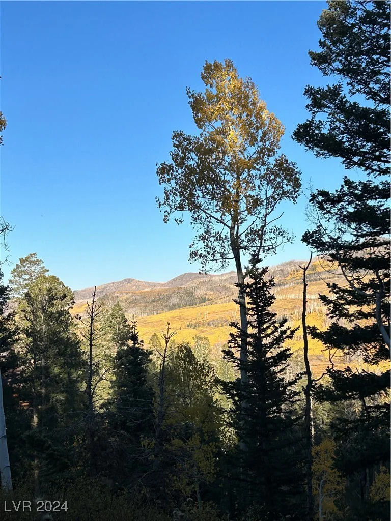 660 Ski View, Brian Head, UT 84719