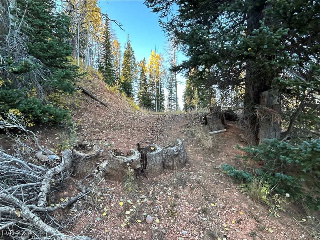 660 Ski View, Brian Head, UT 84719