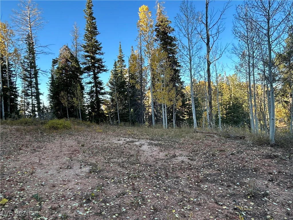 660 Ski View, Brian Head, UT 84719