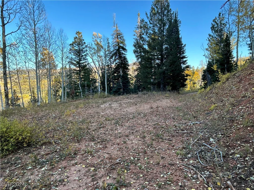 660 Ski View, Brian Head, UT 84719