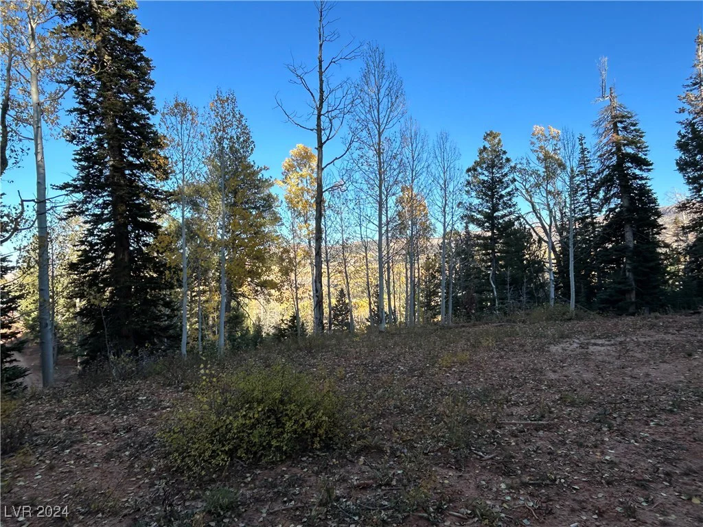 660 Ski View, Brian Head, UT 84719