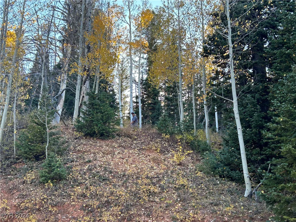 660 Ski View, Brian Head, UT 84719