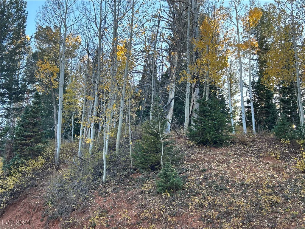 660 Ski View, Brian Head, UT 84719