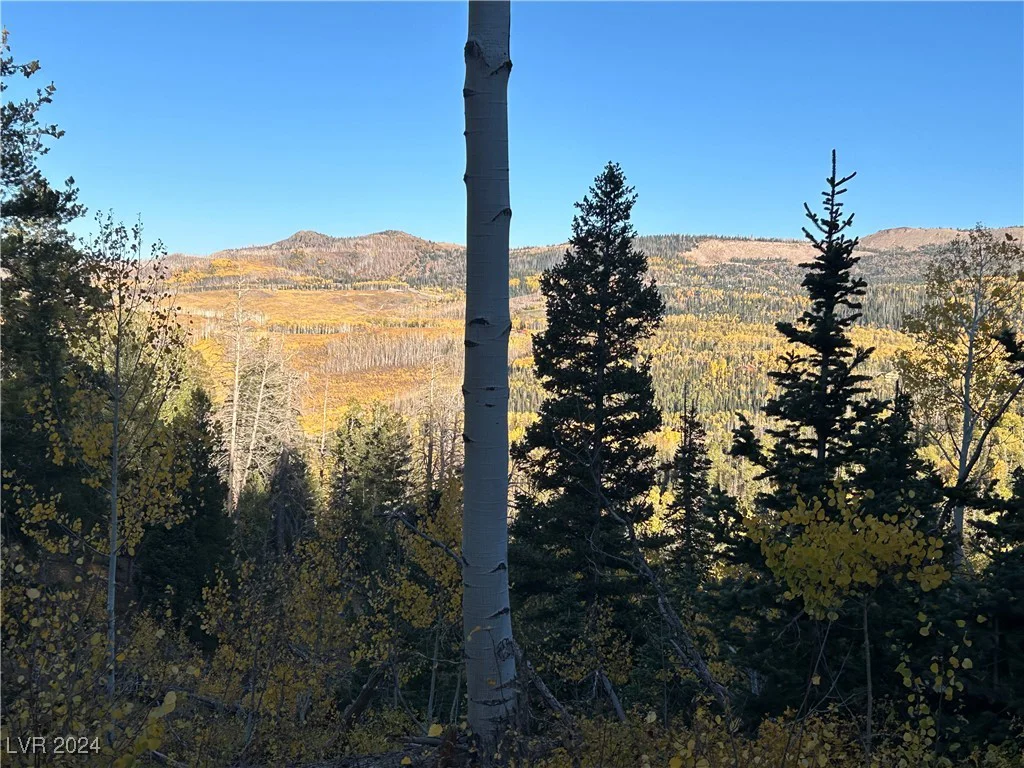 660 Ski View, Brian Head, UT 84719