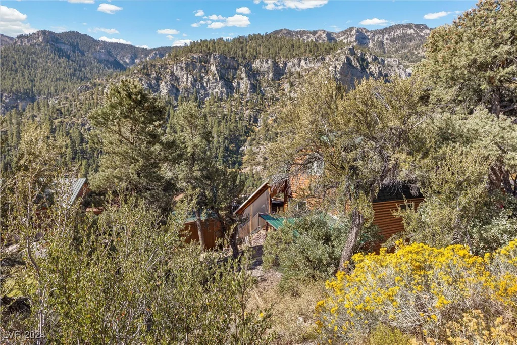 324 Crestview, Mount Charleston, NV 89124