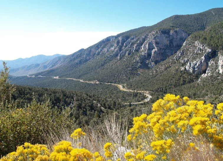 324 Crestview, Mount Charleston, NV 89124