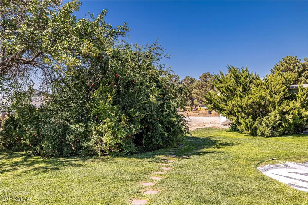 7800 Pioneer, Pahrump, NV 89061