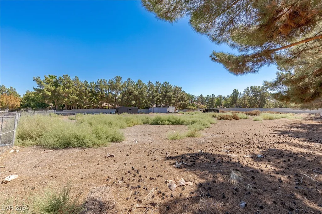 3675 Tobias, Las Vegas, NV 89120