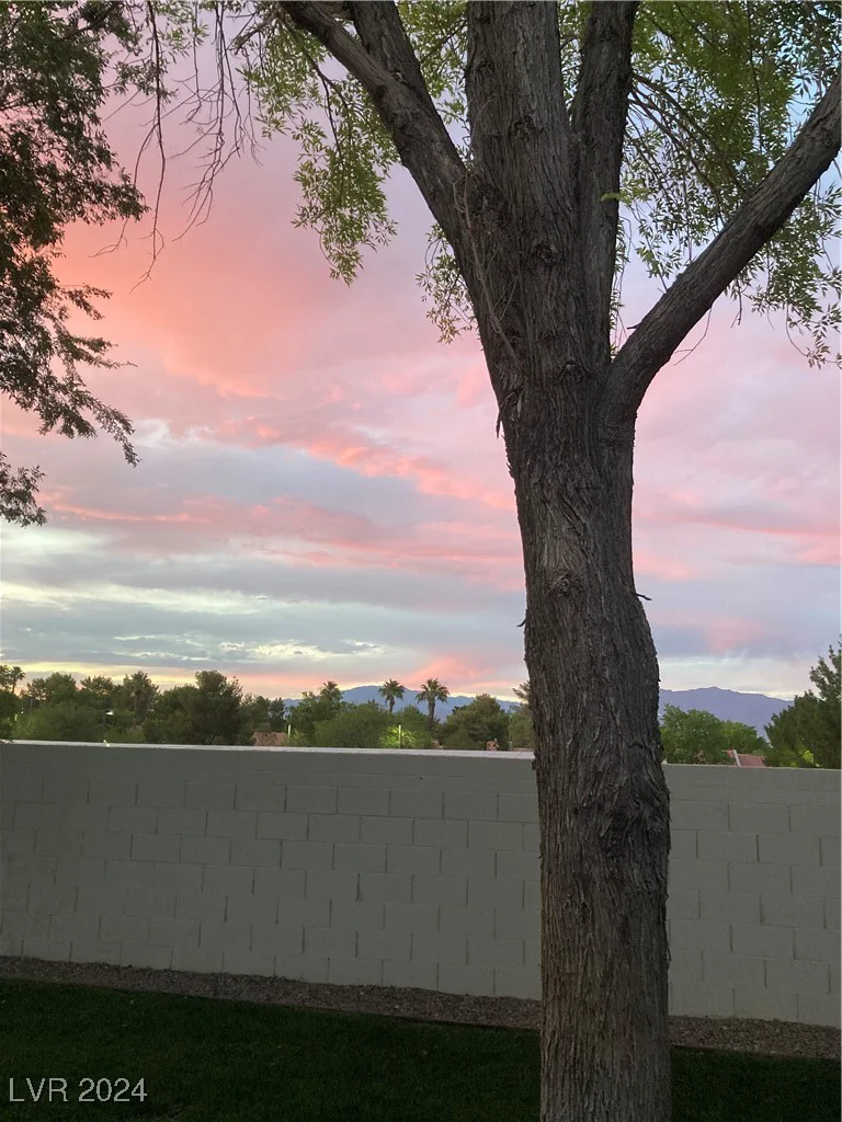8612 Desert Holly, Las Vegas, NV 89134