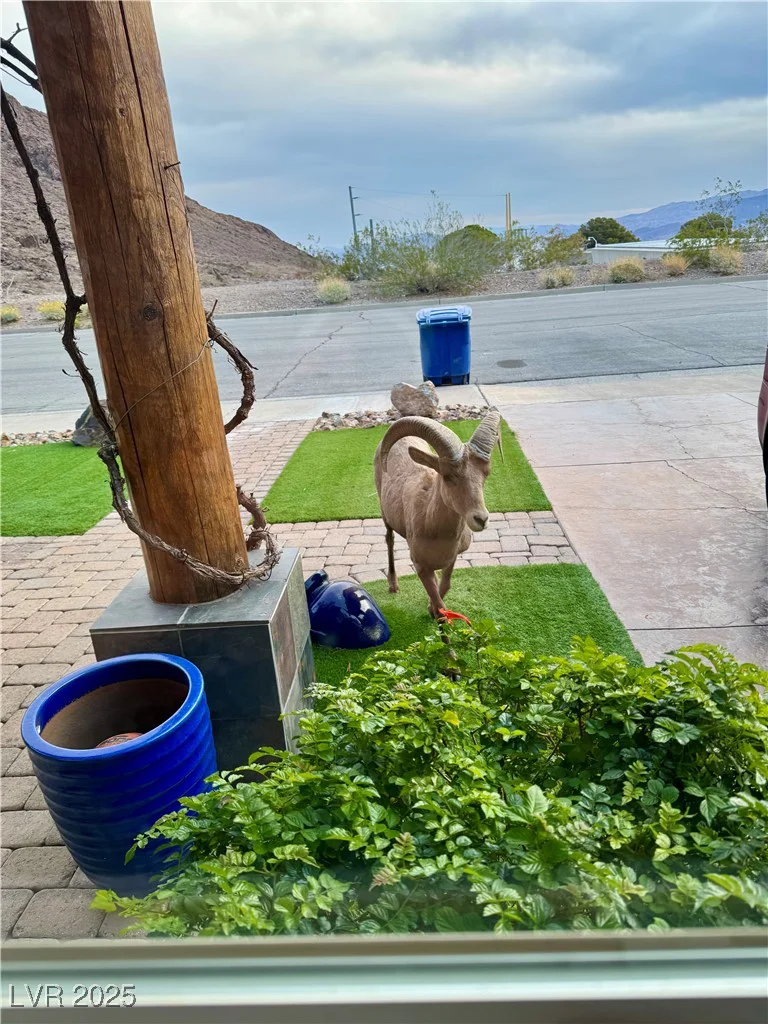 868 Marina, Boulder City, NV 89005