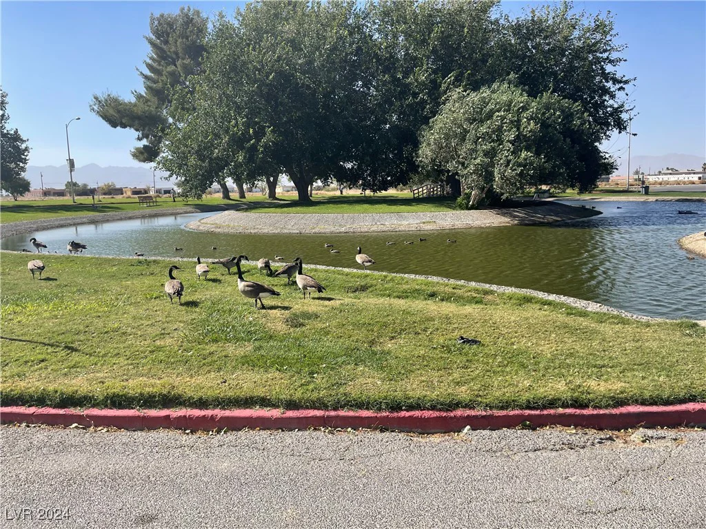 2061 Calvada, Pahrump, NV 89048