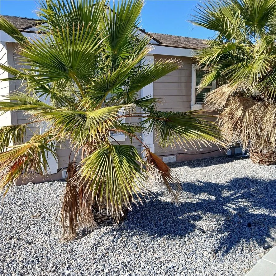 5480 Humbolt, Pahrump, NV 89060
