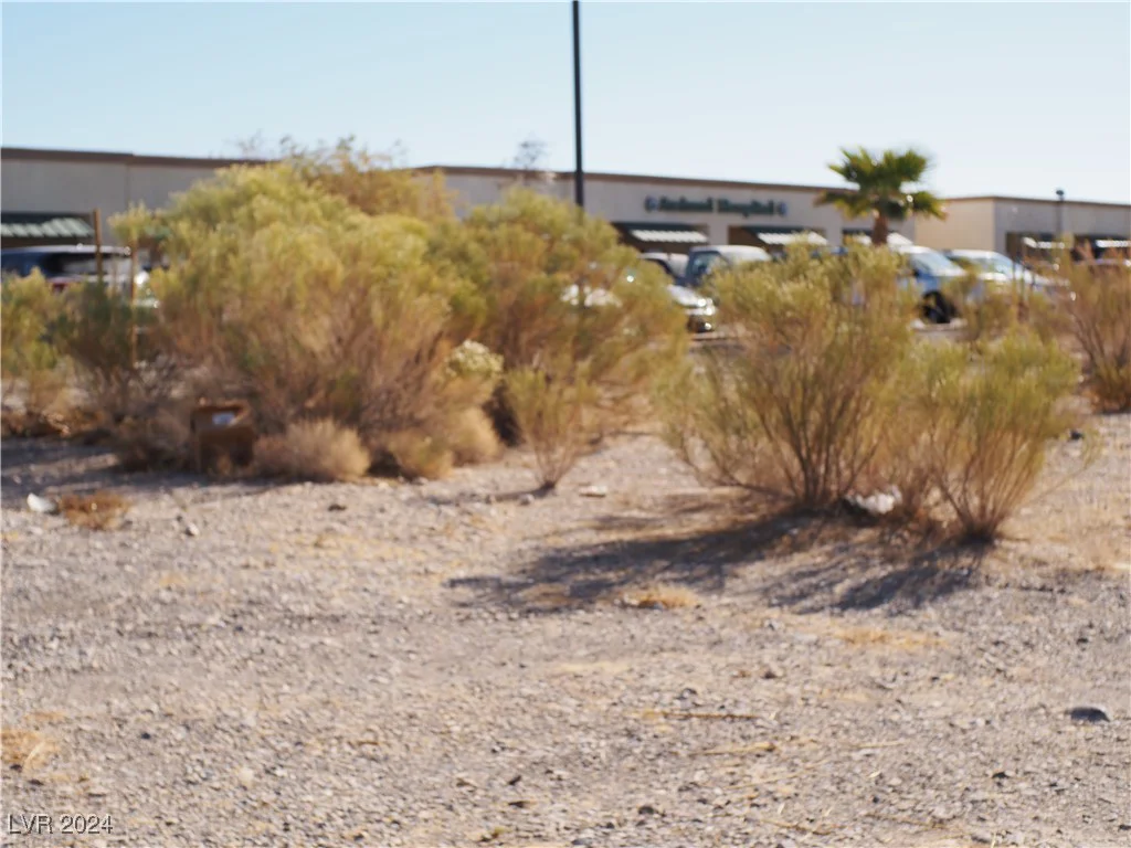 1571 Basin, Pahrump, NV 89060