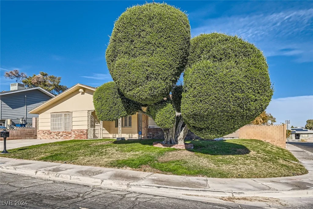 4386 El Carnal, Las Vegas, NV 89121