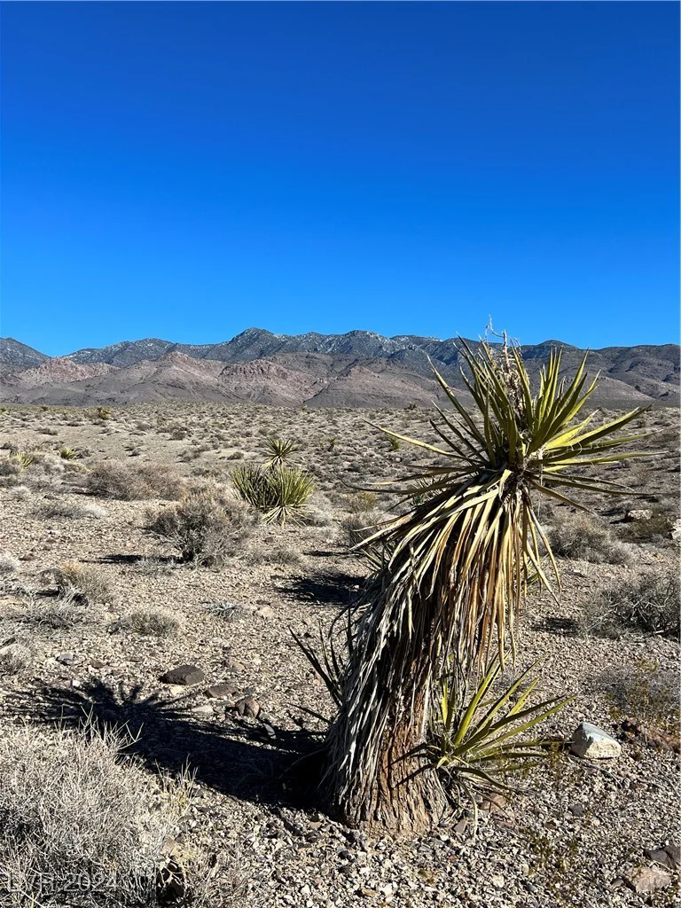 2381 Mazzuka, Pahrump, NV 89060