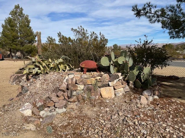 951 D, Beatty, NV 89003