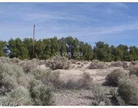 1661 Antelope, Pahrump, NV 89048