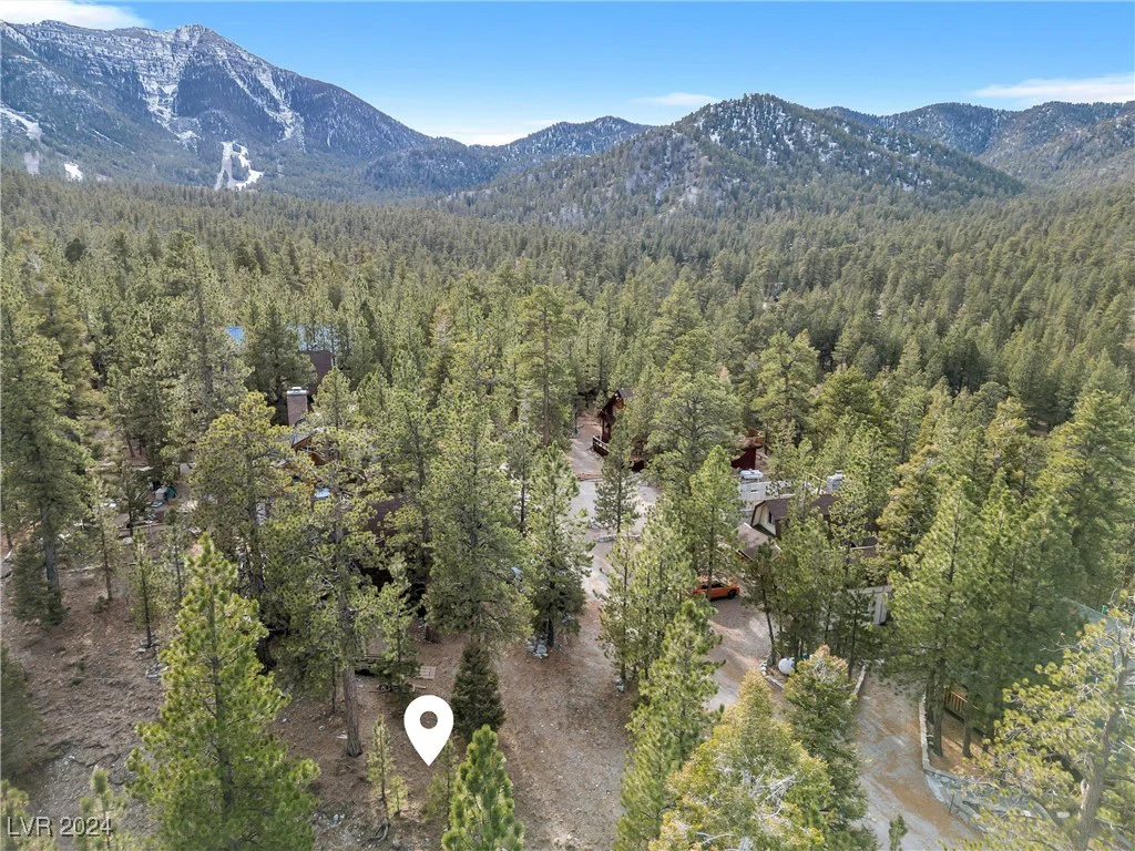 2194 Via Spes Nostra, Mount Charleston, NV 89124