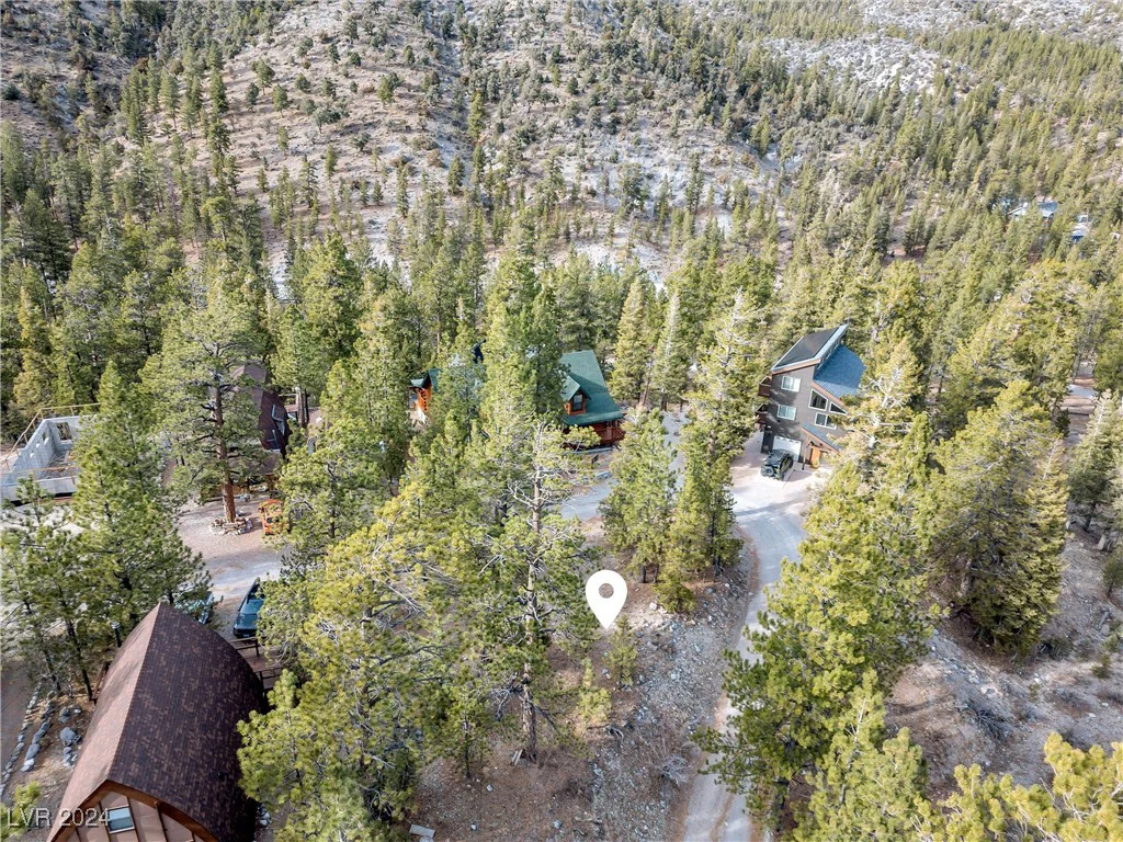 2194 Via Spes Nostra, Mount Charleston, NV 89124