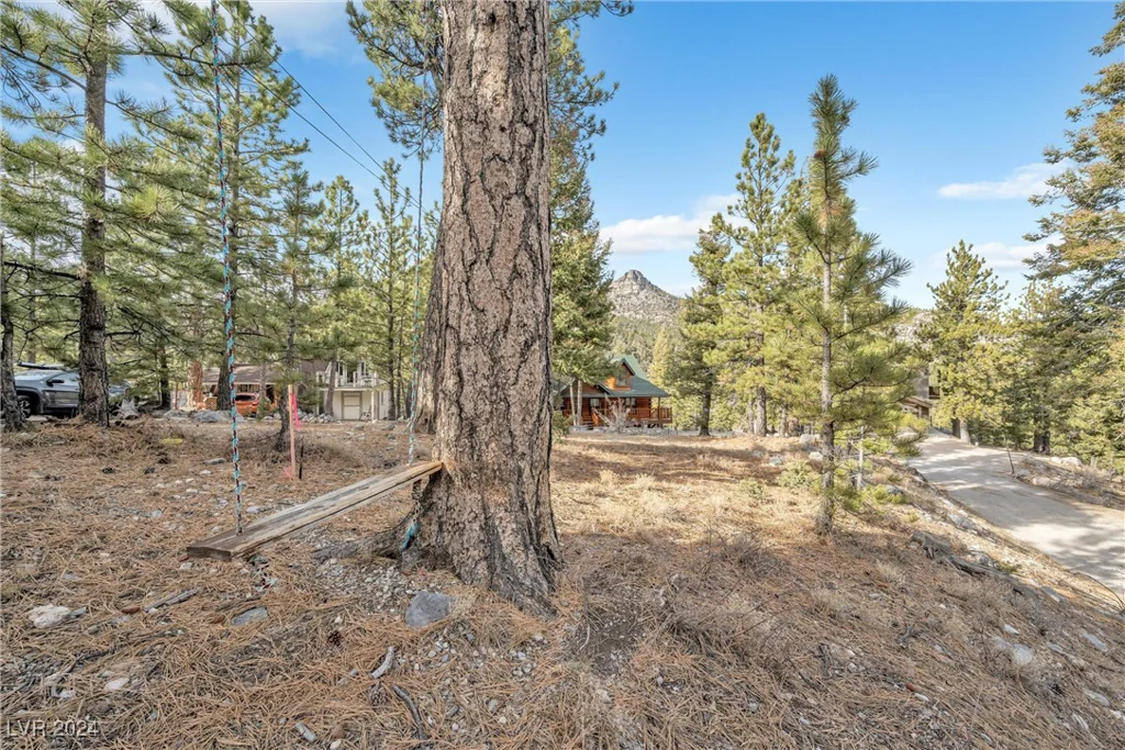 2194 Via Spes Nostra, Mount Charleston, NV 89124