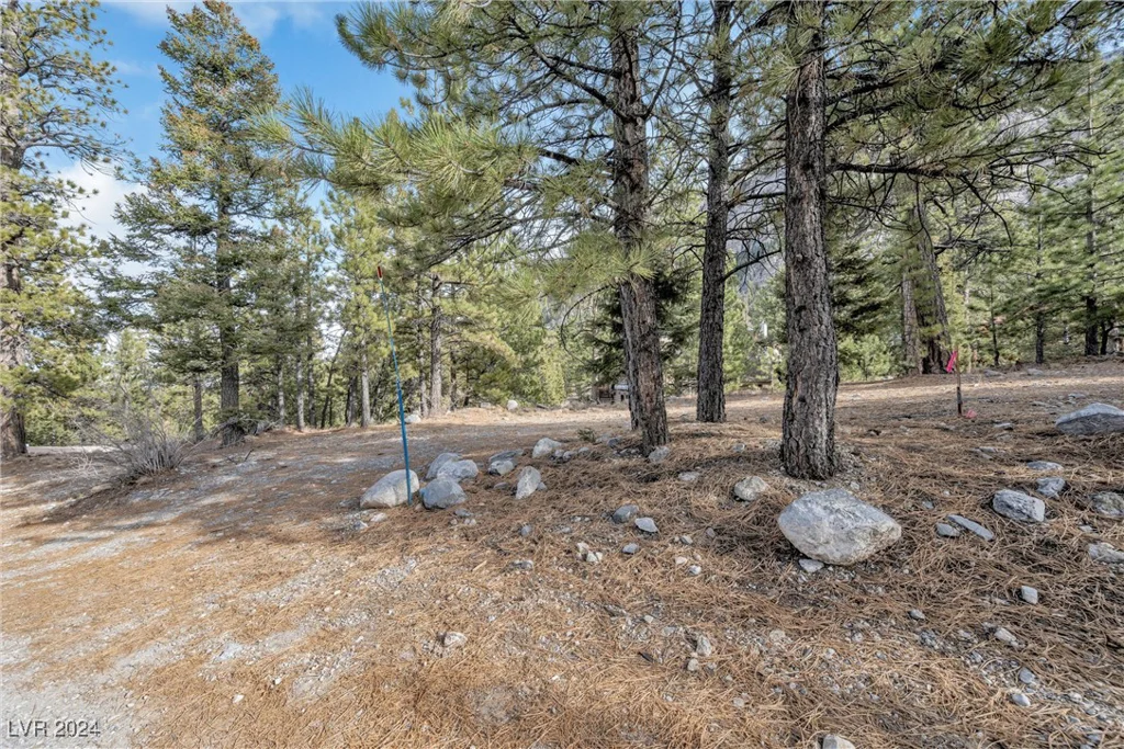 2194 Via Spes Nostra, Mount Charleston, NV 89124