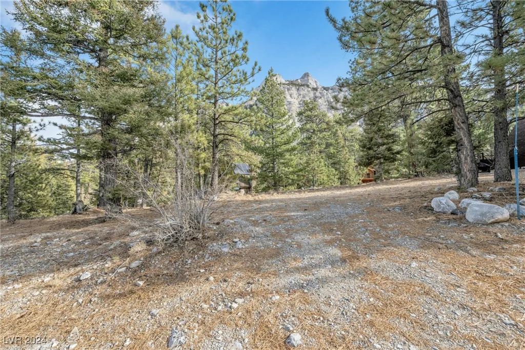 2194 Via Spes Nostra, Mount Charleston, NV 89124