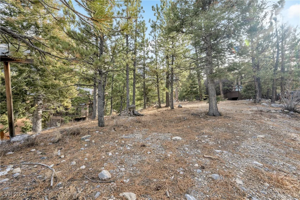 2194 Via Spes Nostra, Mount Charleston, NV 89124