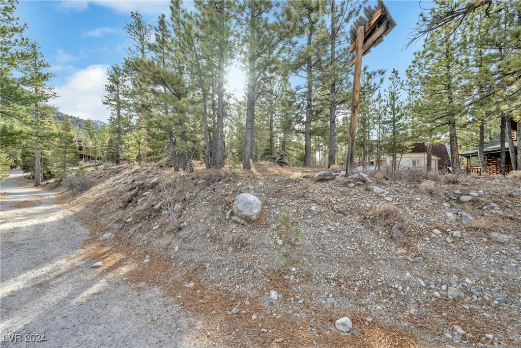 2194 Via Spes Nostra, Mount Charleston, NV 89124