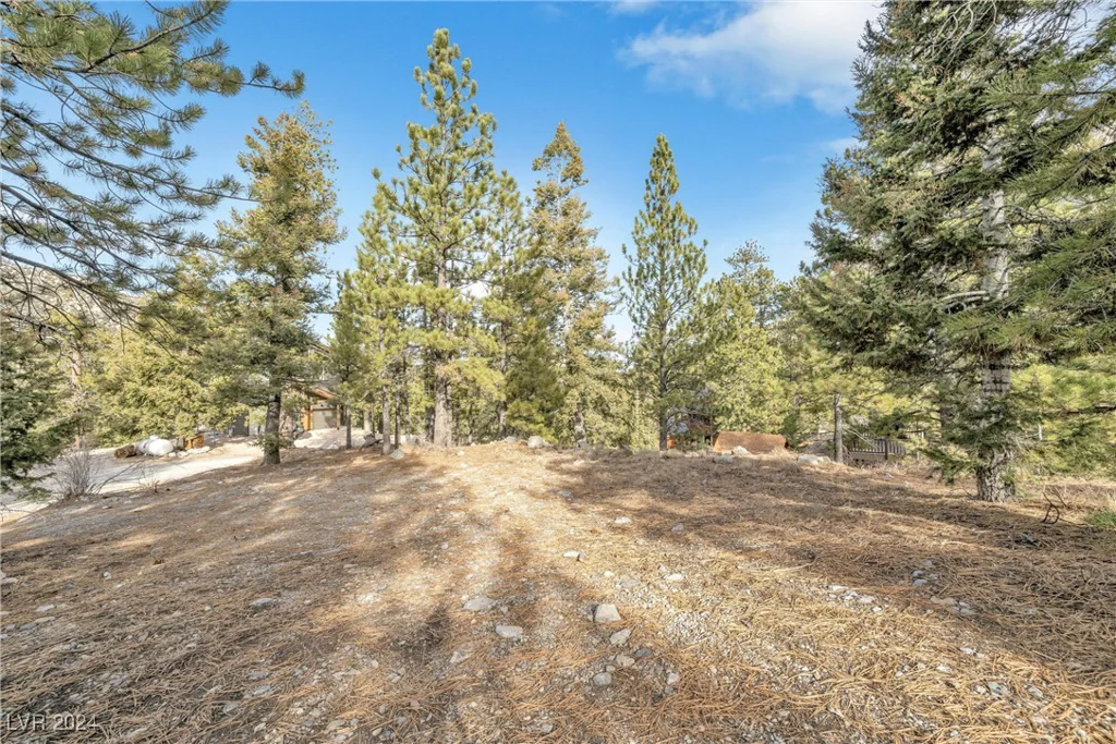 2194 Via Spes Nostra, Mount Charleston, NV 89124