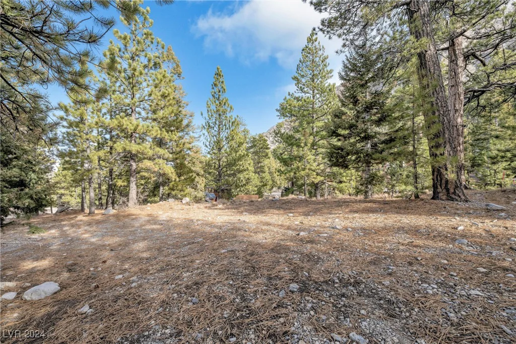 2194 Via Spes Nostra, Mount Charleston, NV 89124