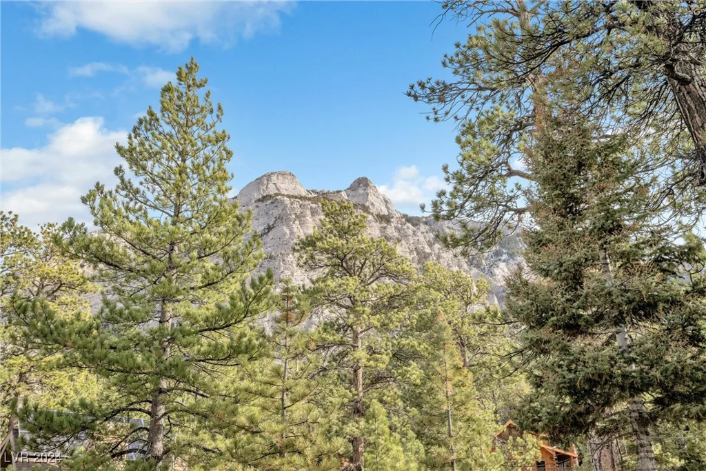 2194 Via Spes Nostra, Mount Charleston, NV 89124