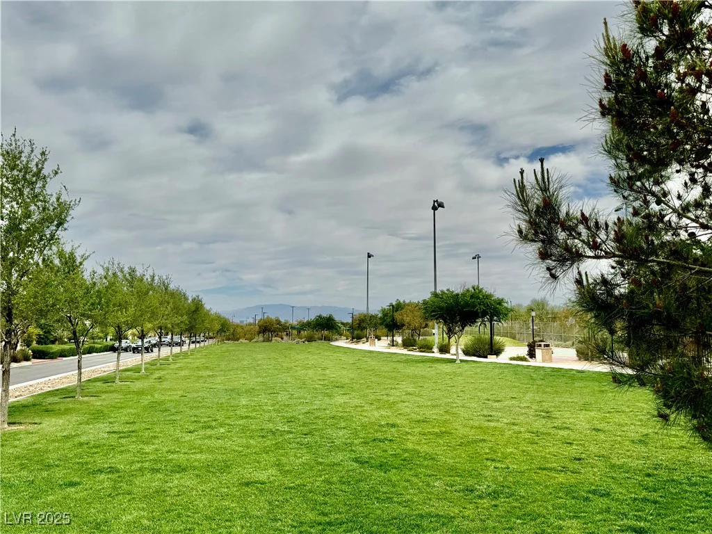 3029 Camino Sereno, Henderson, NV 89044