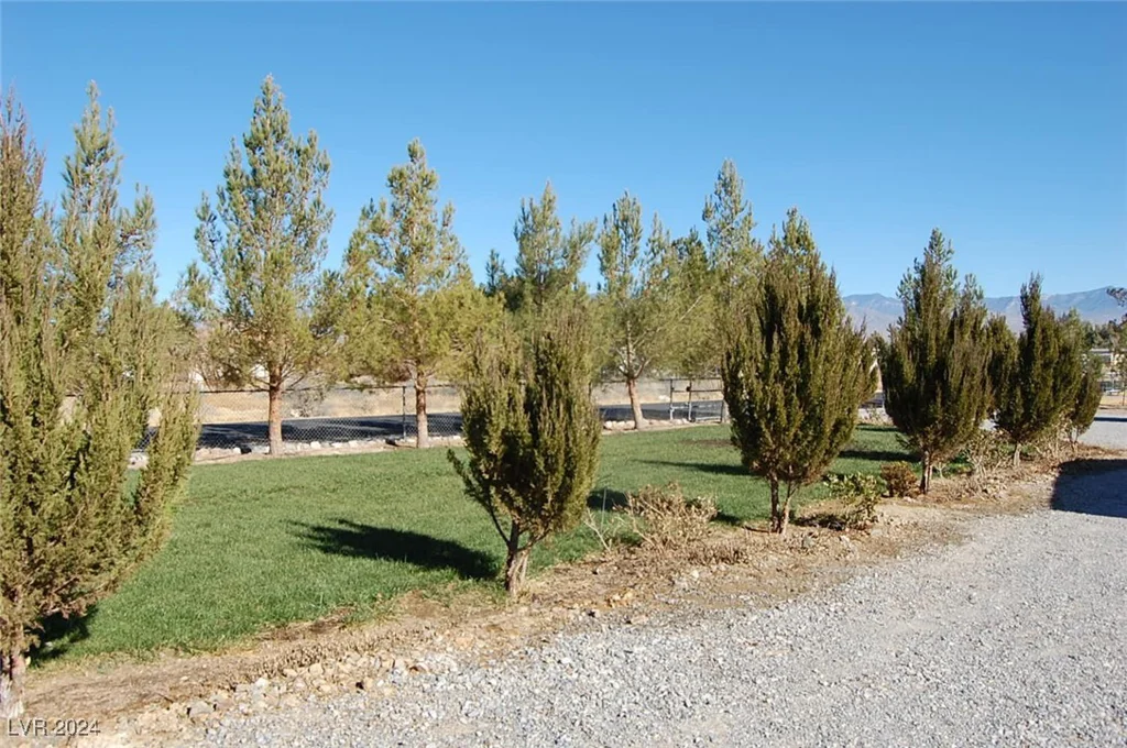 421 David, Pahrump, NV 89048