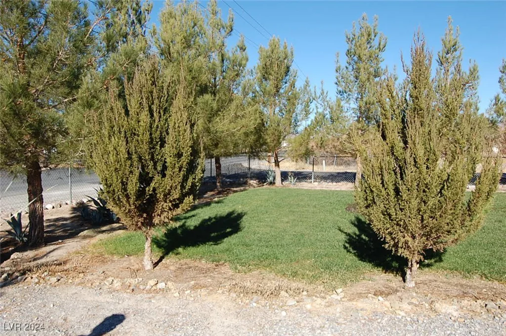 421 David, Pahrump, NV 89048