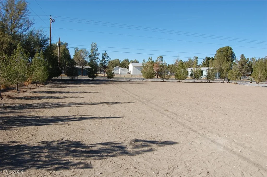 421 David, Pahrump, NV 89048