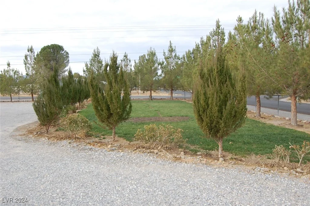 421 David, Pahrump, NV 89048