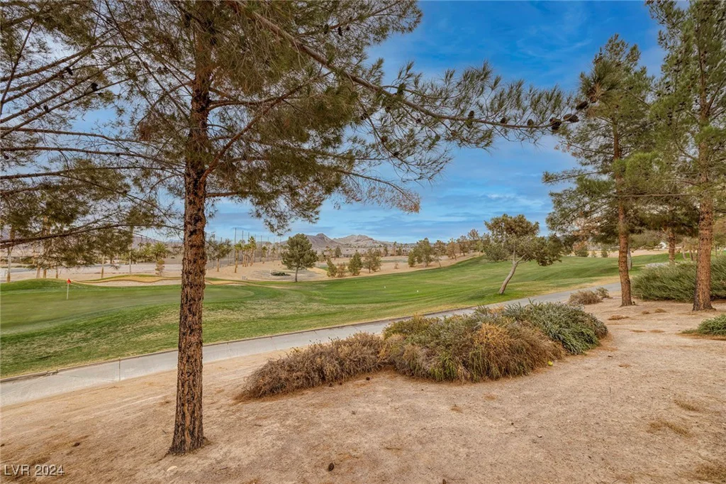 448 Punto Vallata, Henderson, NV 89011