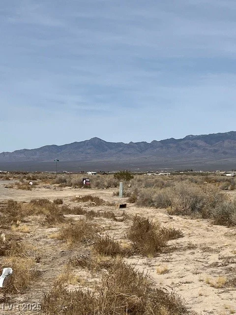 161 Abilene, Pahrump, NV 89060