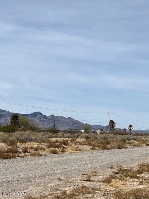 161 Abilene, Pahrump, NV 89060