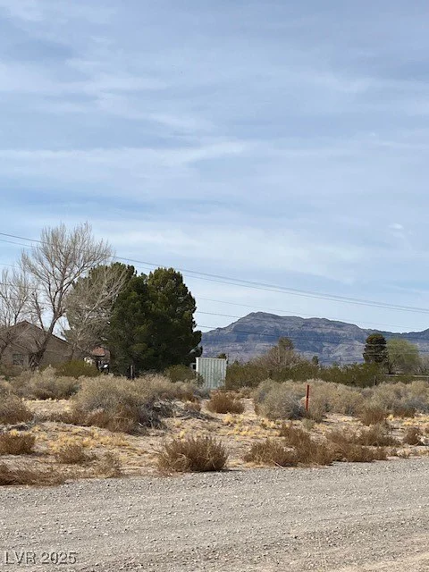 161 Abilene, Pahrump, NV 89060