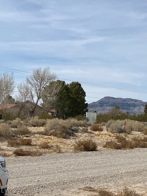 161 Abilene, Pahrump, NV 89060