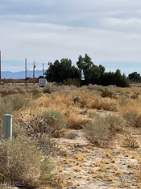 161 Abilene, Pahrump, NV 89060