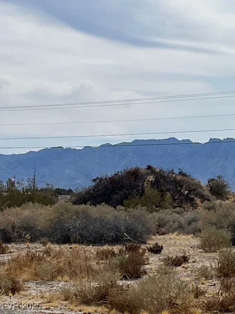 161 Abilene, Pahrump, NV 89060
