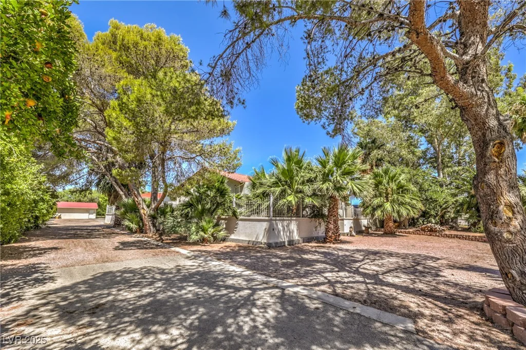 875 Cooper, Overton, NV 89040